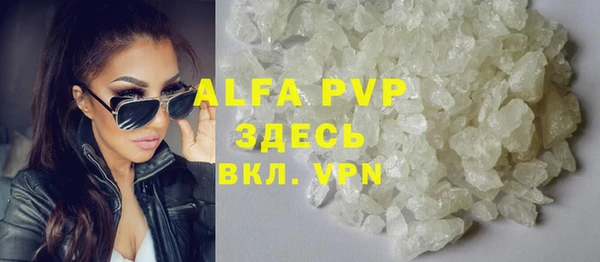 сатива Богданович