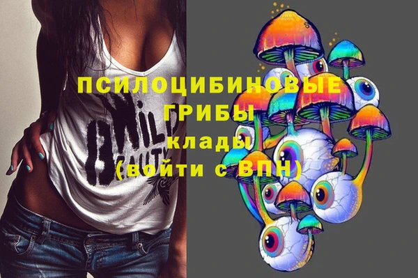 герыч Богородск