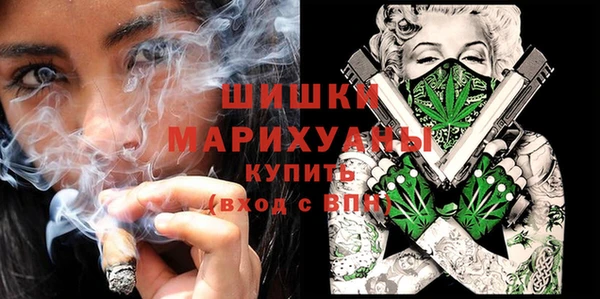 сатива Богданович