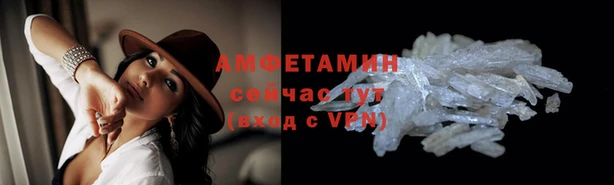 сатива Богданович
