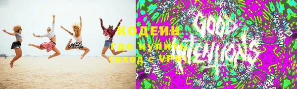 сатива Богданович